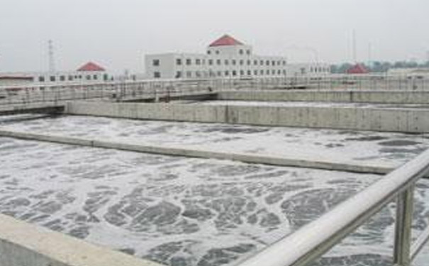 造纸厂废水处理该如何合理调试运行